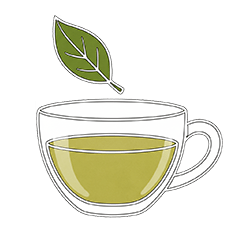 Green Tea icon