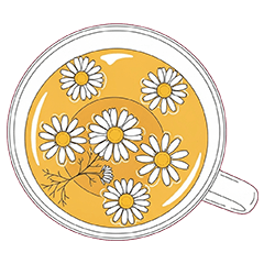 Herbal Tea icon