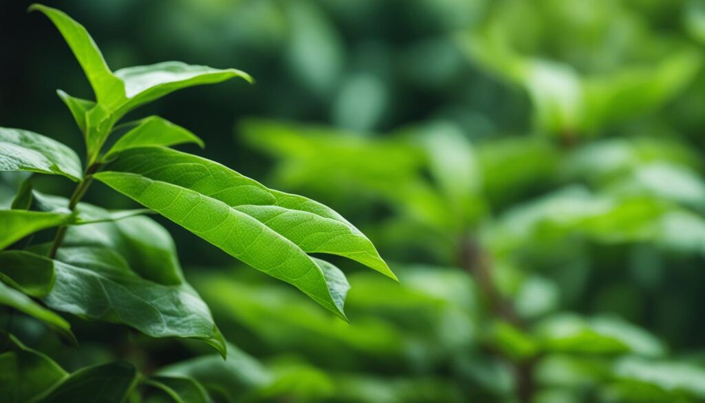 Indicators of Quality in Tea