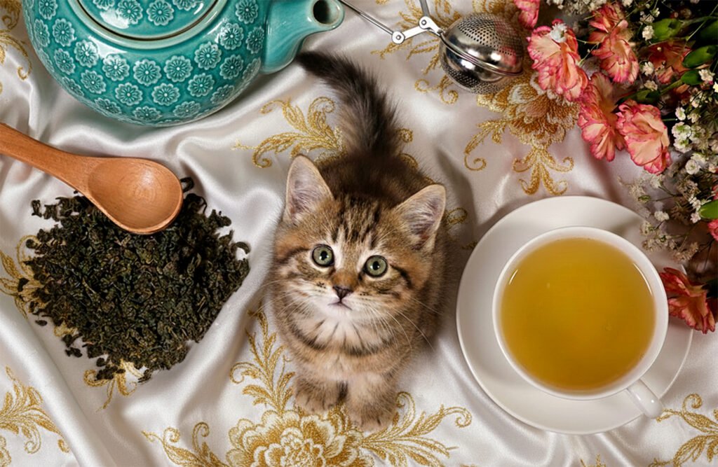 Cute kitten with tea set, loose leaf tea, and flowers on elegant fabric.