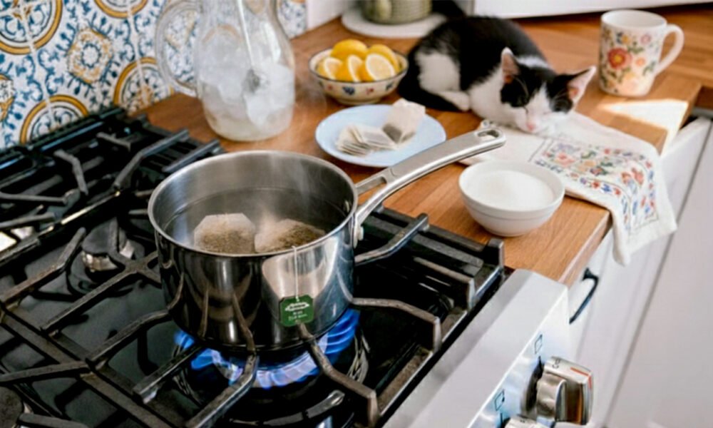 How to Make Tea on the Stove: A Sweet Tea Guide Cat lounging beside a stove with boiling tea, lemons, and a floral mug in a cozy kitchen setting.