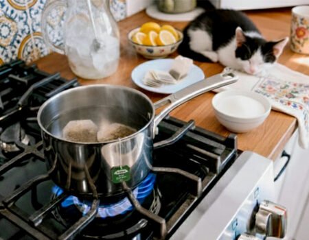 Cat lounging beside a stove with boiling tea, lemons, and a floral mug in a cozy kitchen setting.